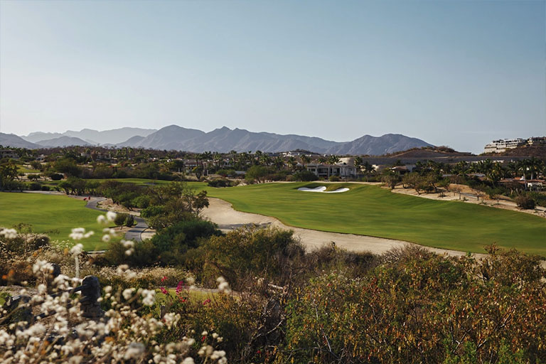Junior Golf Series